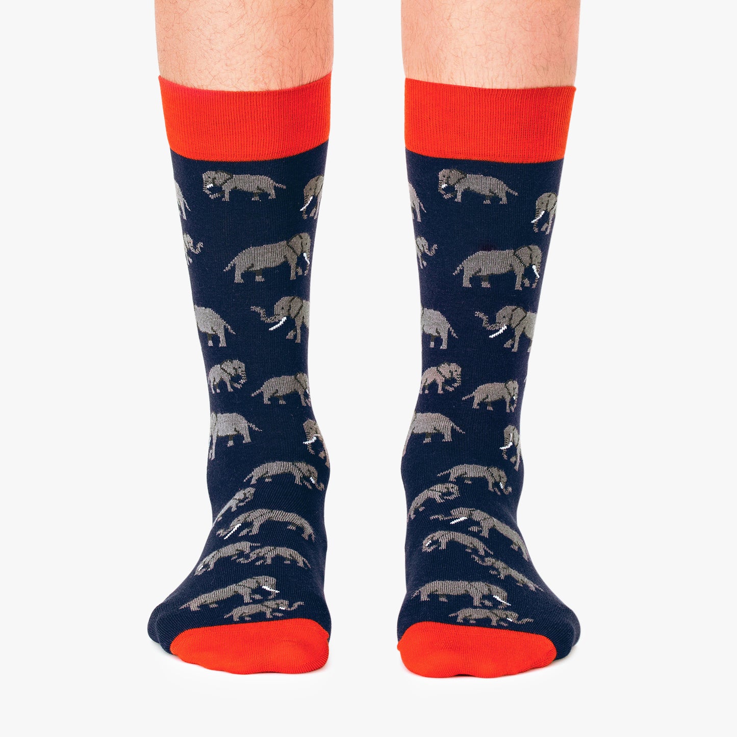 Elephants - Dark Blue (1)