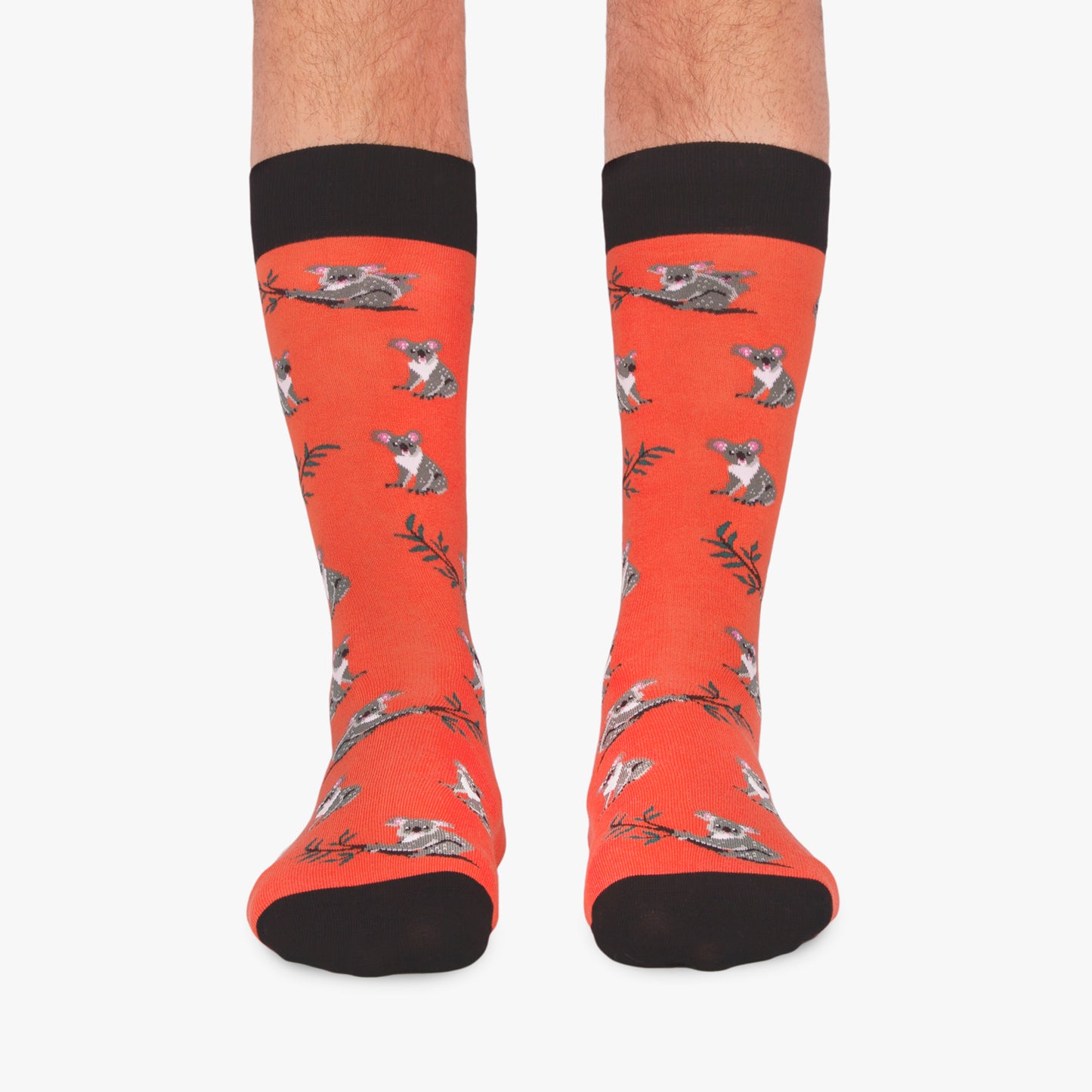 Koalas - Red (1)