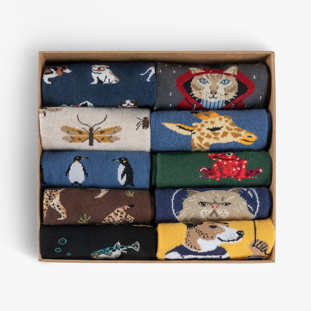 Animal Best Sellers Pack 10 pares - Various