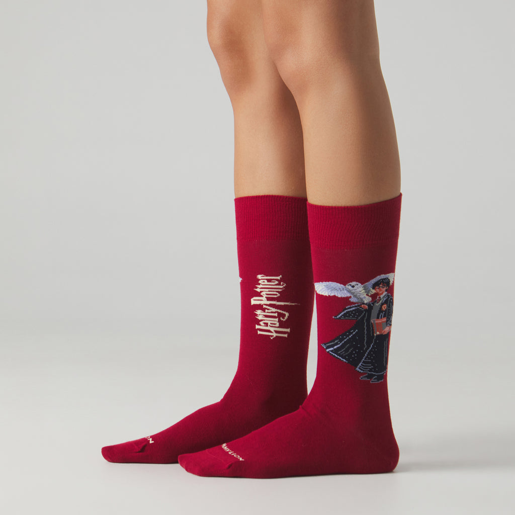 Harry Potter Gift Pack - Various