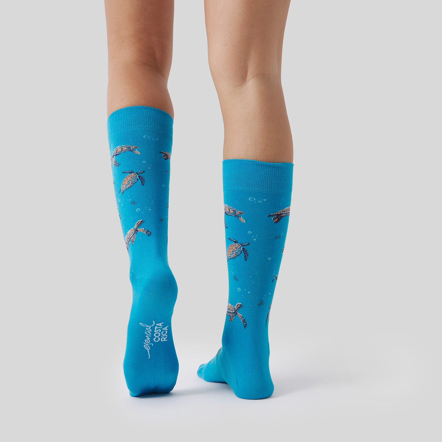 Pura Vida Hawksbill Turtle - Turquesa