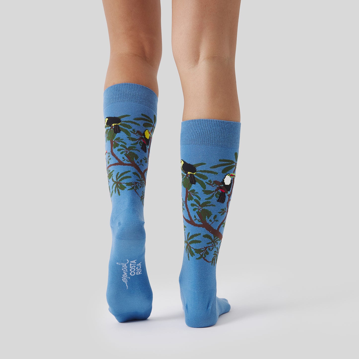 Pura Vida Rainbow Toucan - Azul Claro