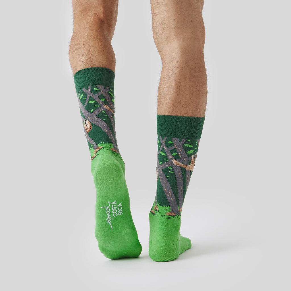 Pura Vida Sloth - Verde