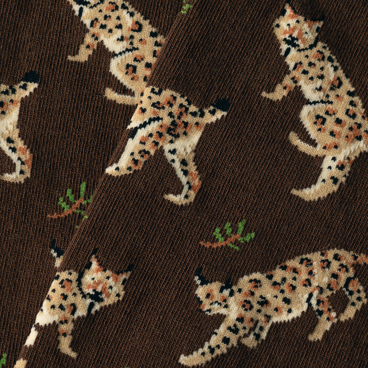 Lynx - Brown