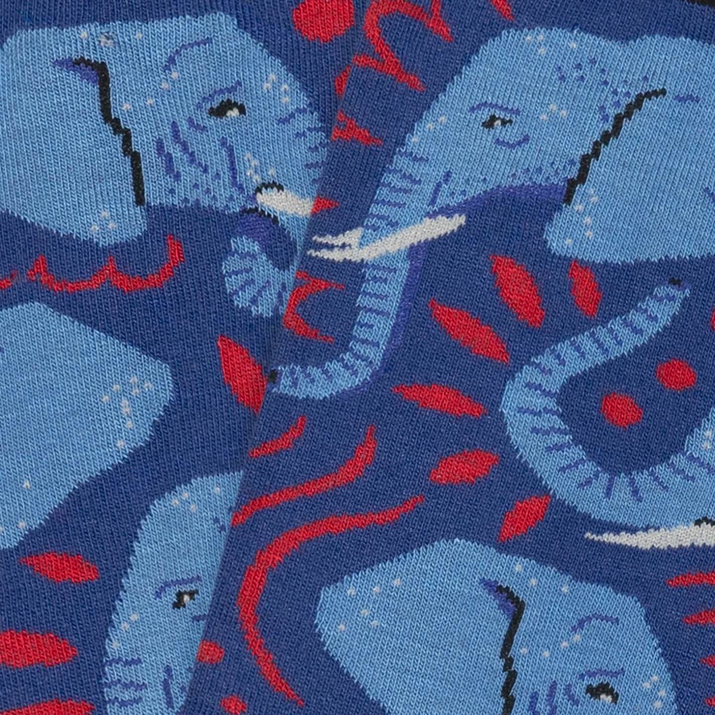Elephant Muse - Blue (3)