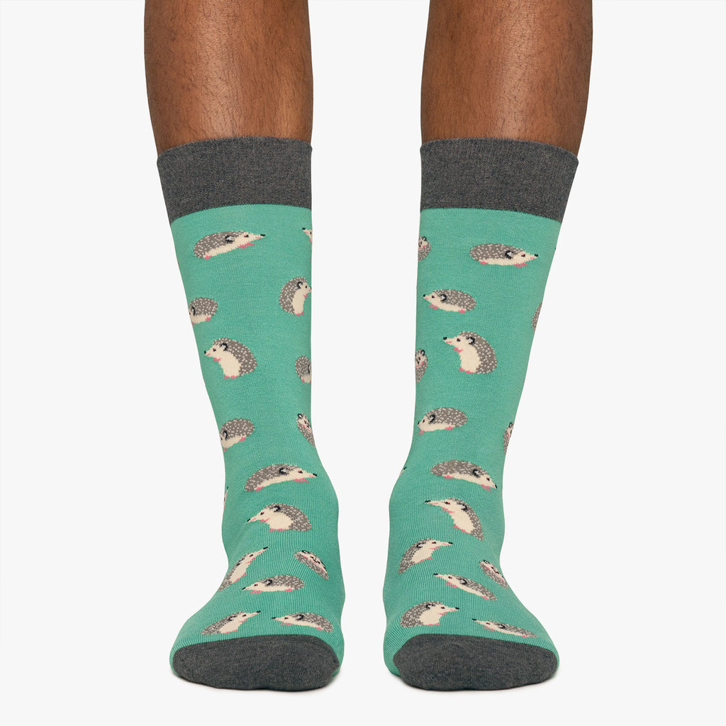 Hedgehog - Turquoise (1)