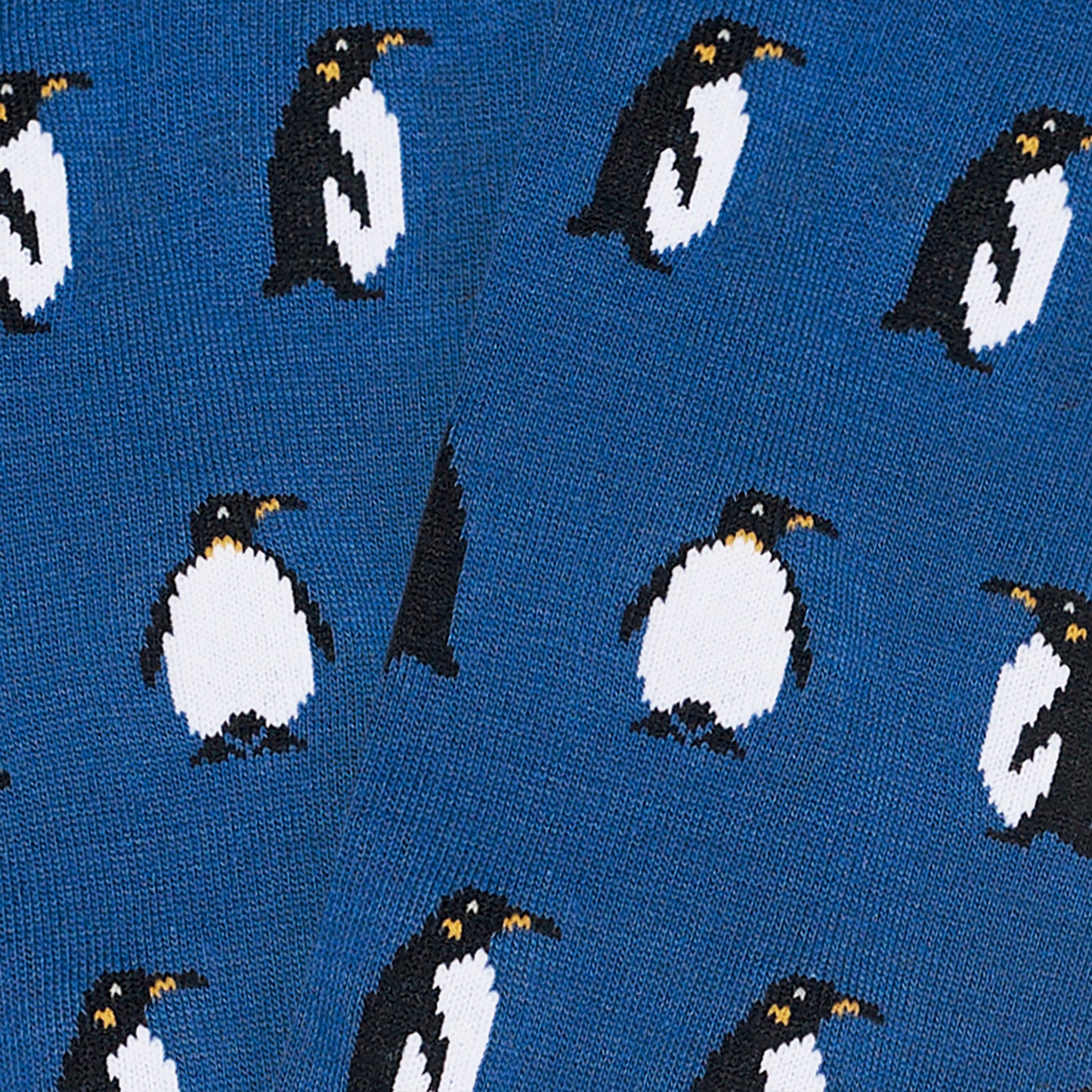 Penguins - Blue (3)