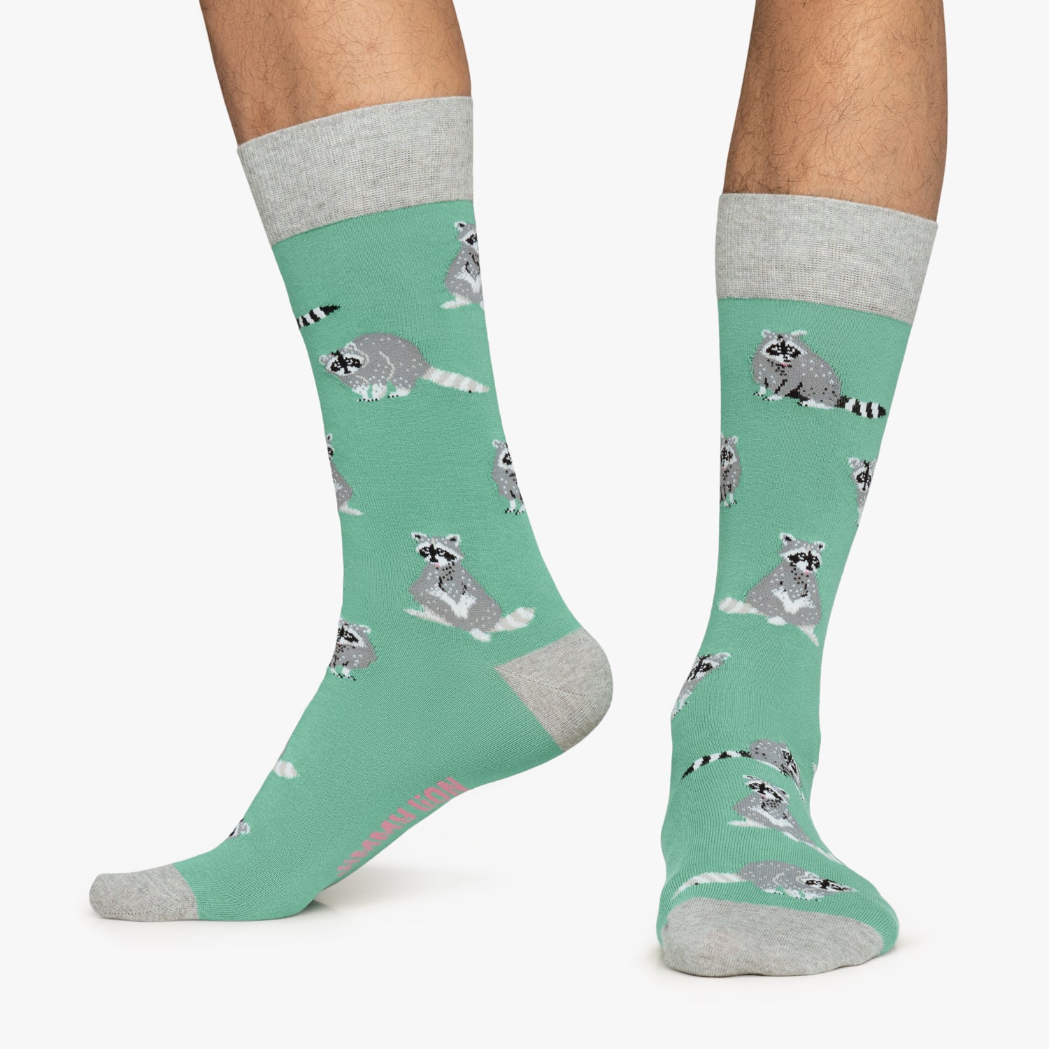 Racoons - Turquoise (1)