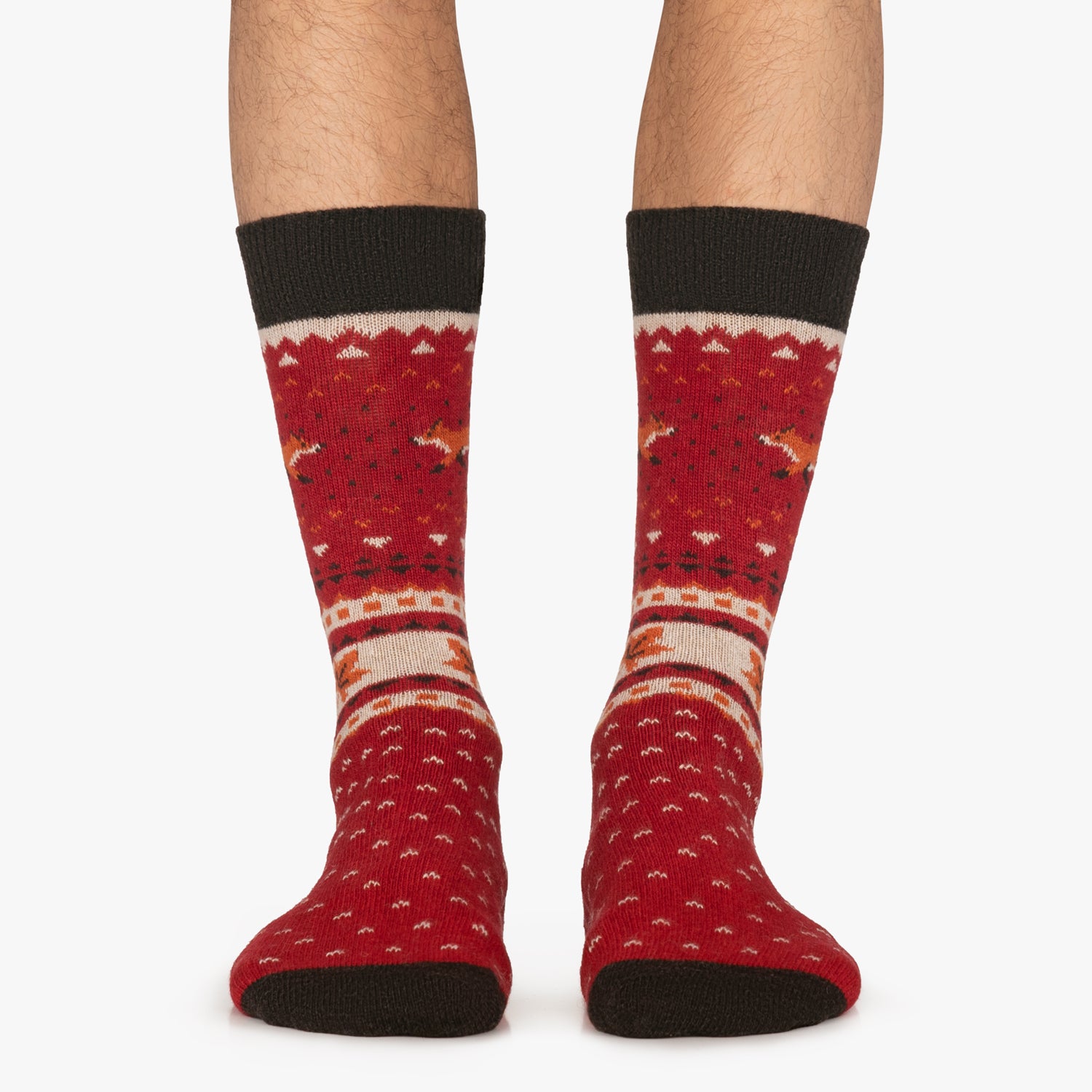 Winter Fox - Red (1)