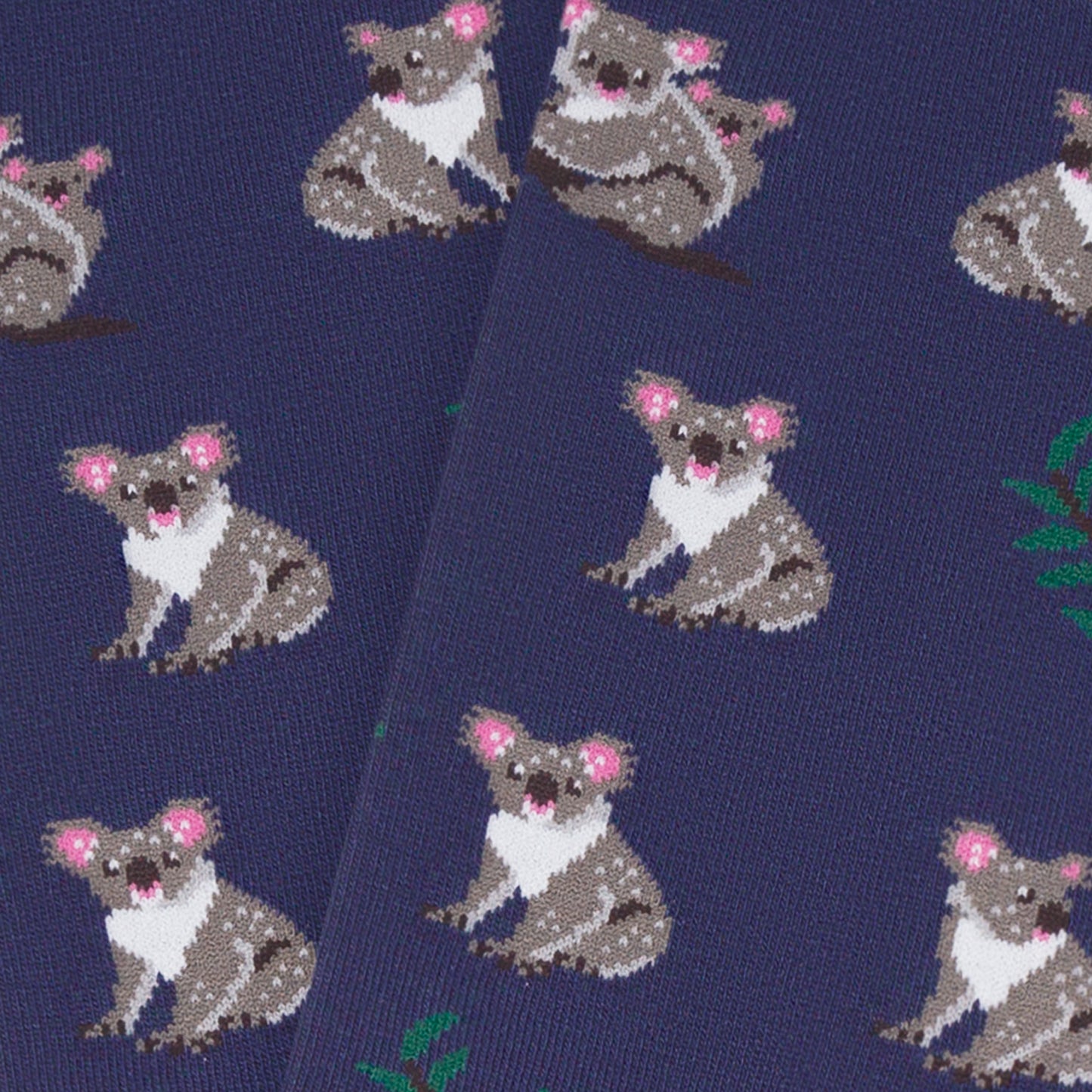 Koalas - Blue (3)